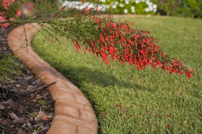 Yard Curbing